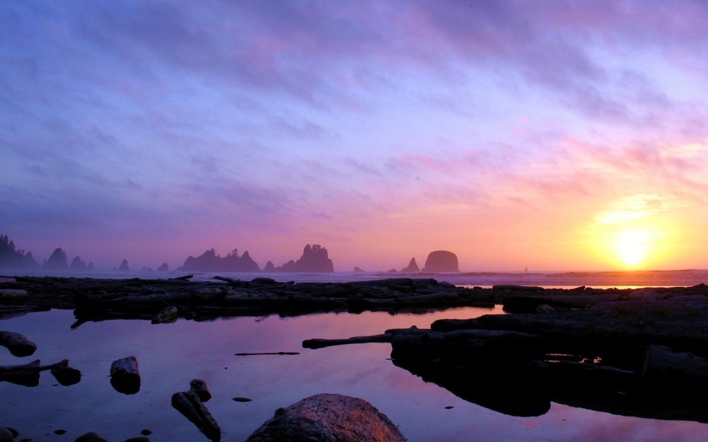 Shi Shi Beach, Olympic National Park, Washington, United States