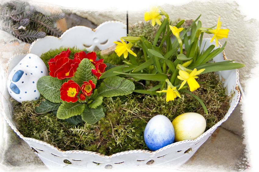 Walter ValentinOurtalstrasse 954675 WallendorfTel. 06566/933839Fax: 06566933/840Homepage: www.wallendorf-eifel.de