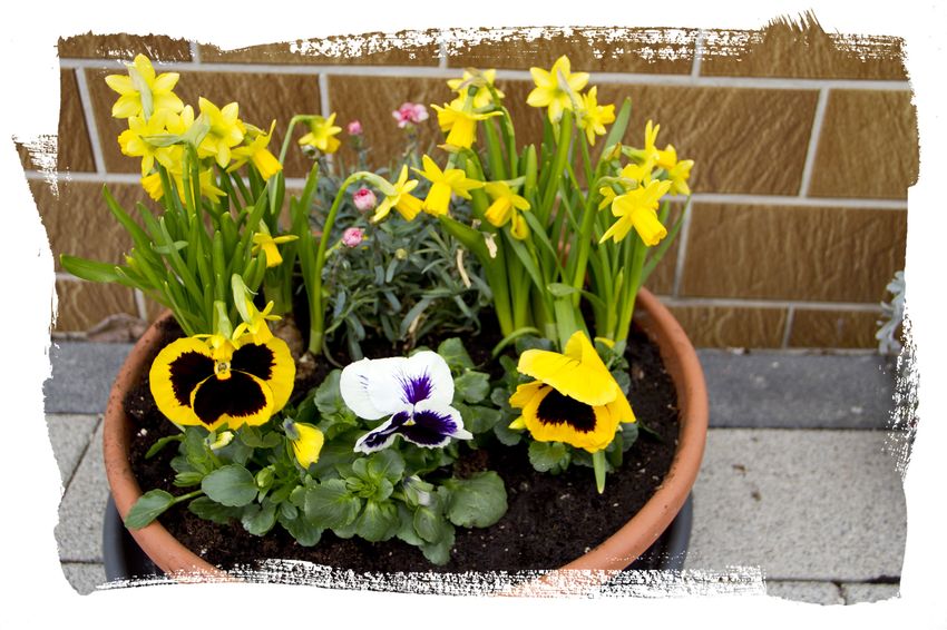 Walter ValentinOurtalstrasse 954675 WallendorfTel. 06566/933839Fax: 06566933/840Homepage: www.wallendorf-eifel.de