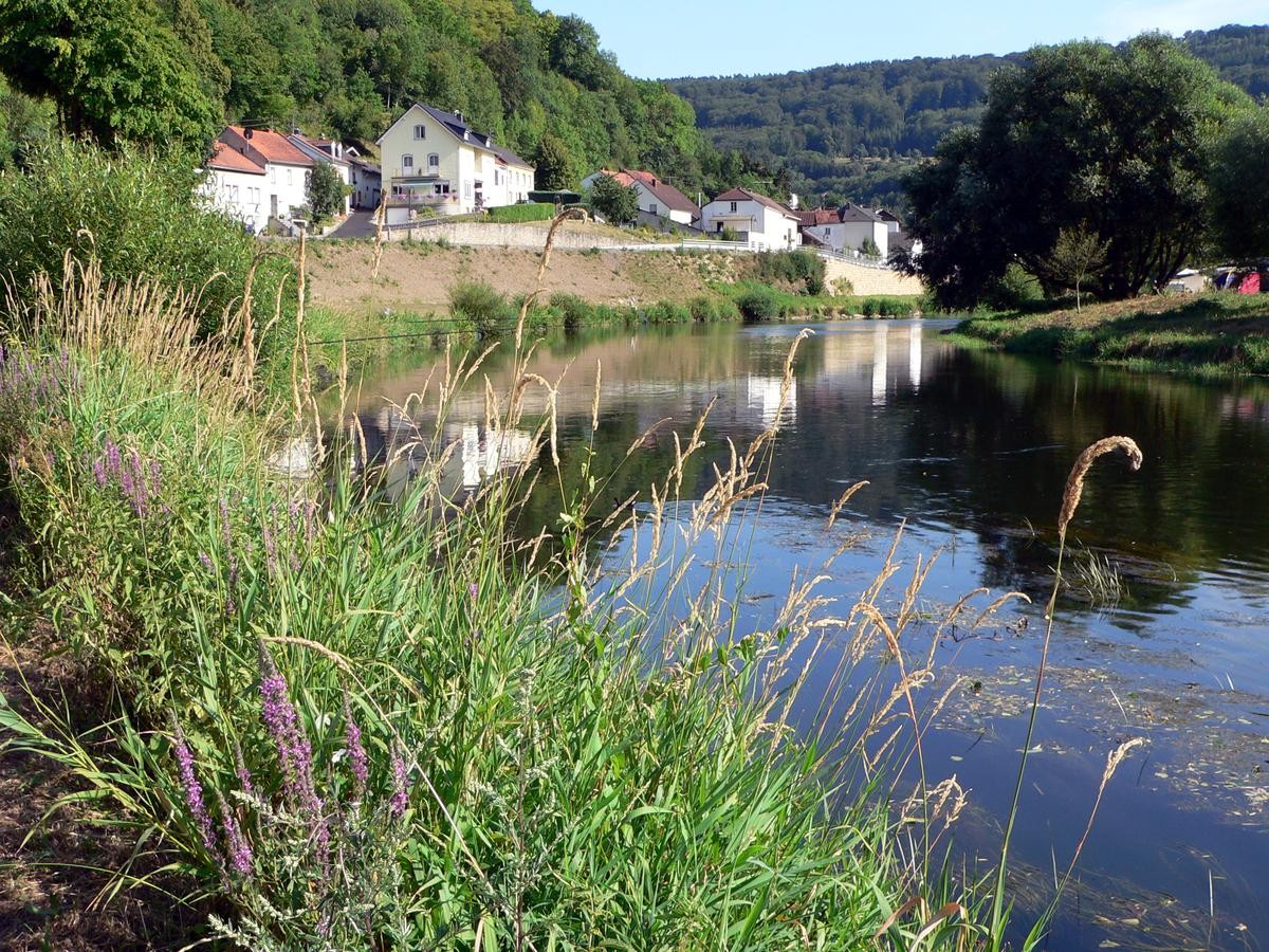 wallendorf-versch_195