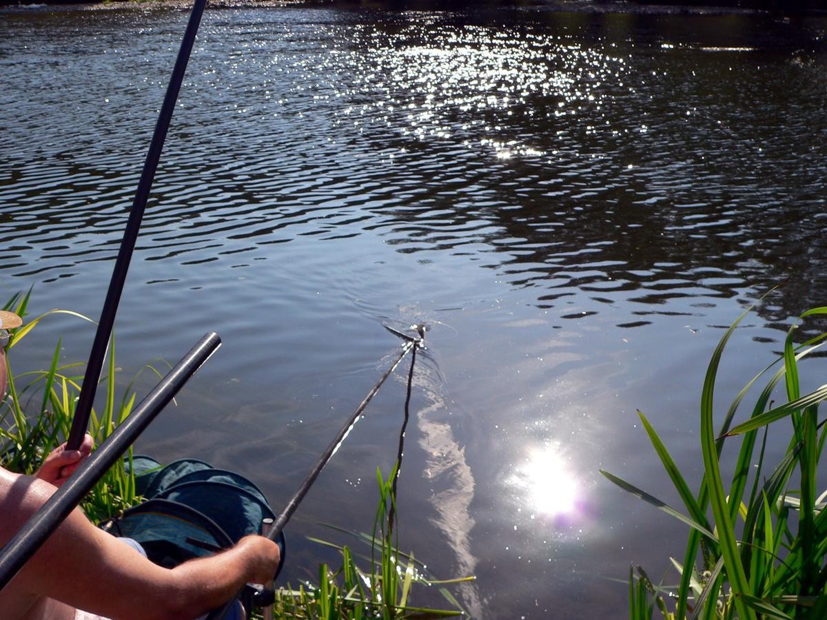 wallendorf-versch_199