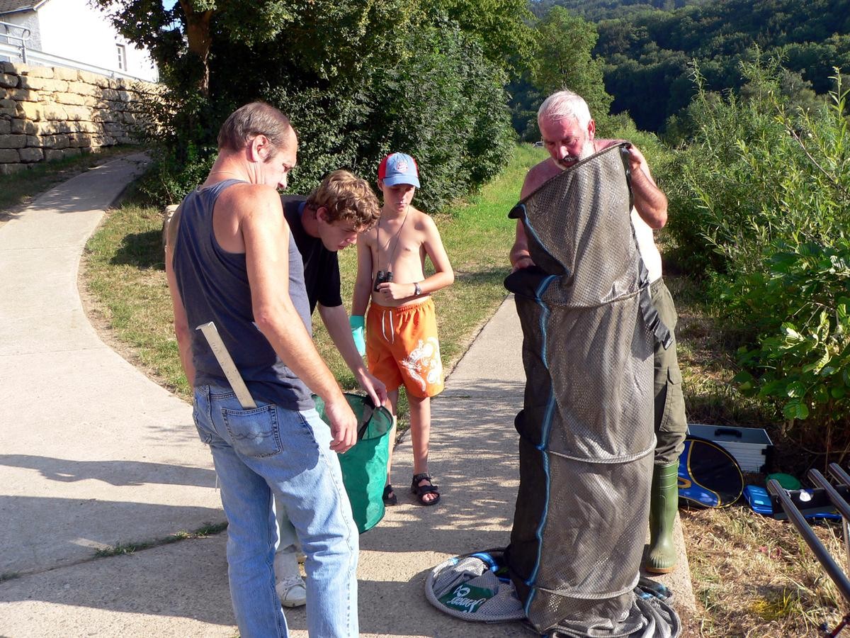 wallendorf-versch_201