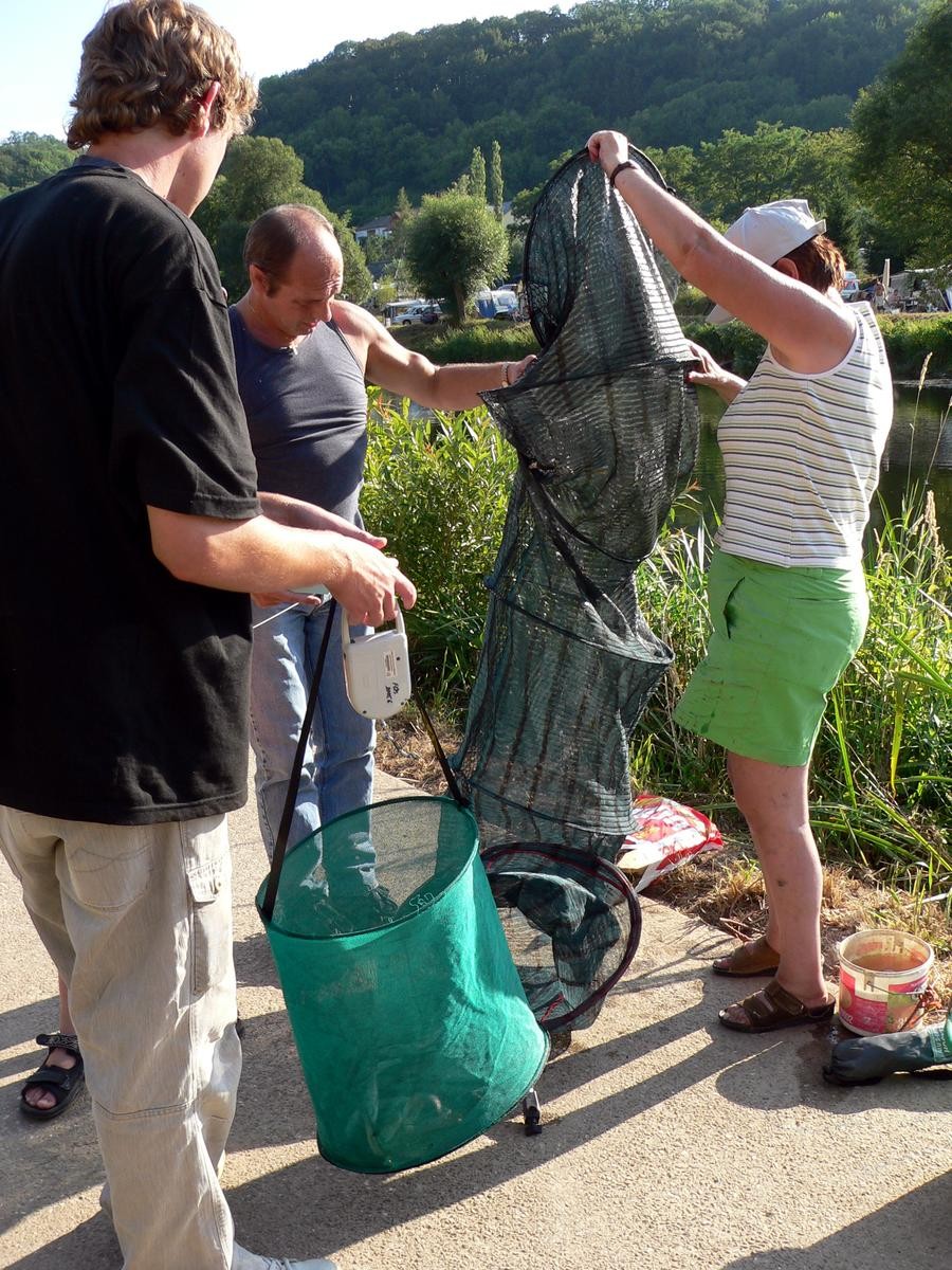 wallendorf-versch_202