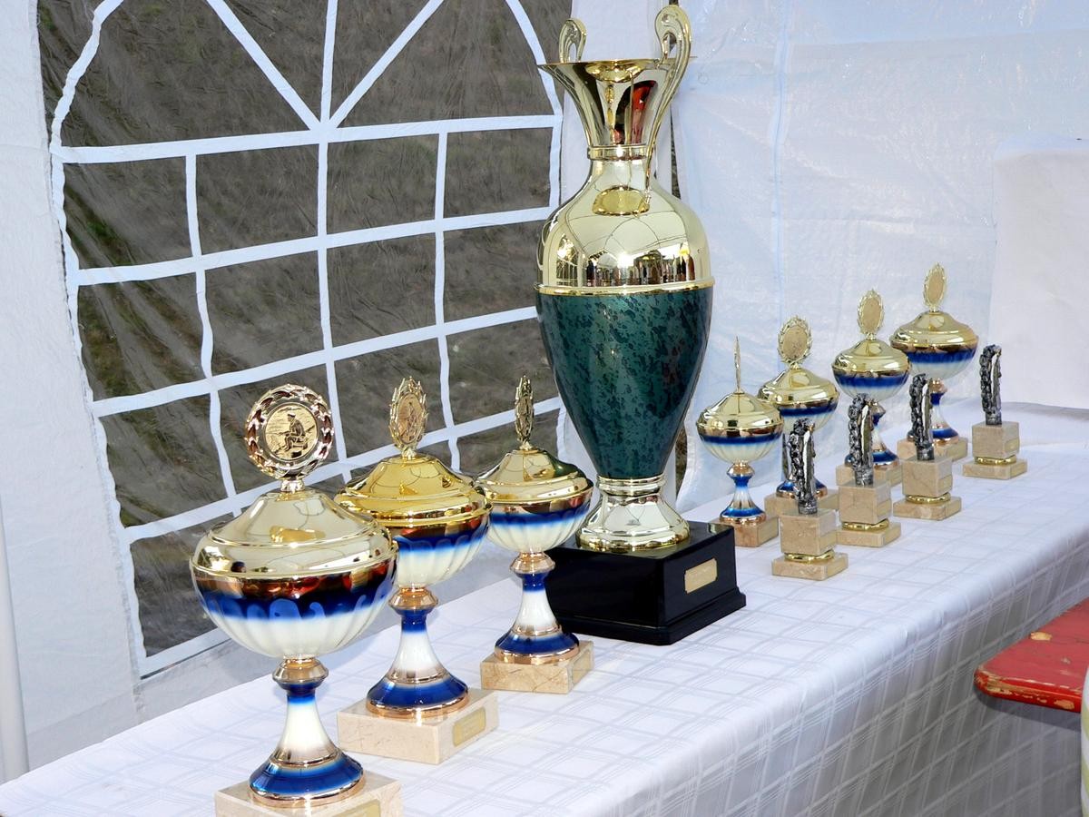 wallendorf-versch_206