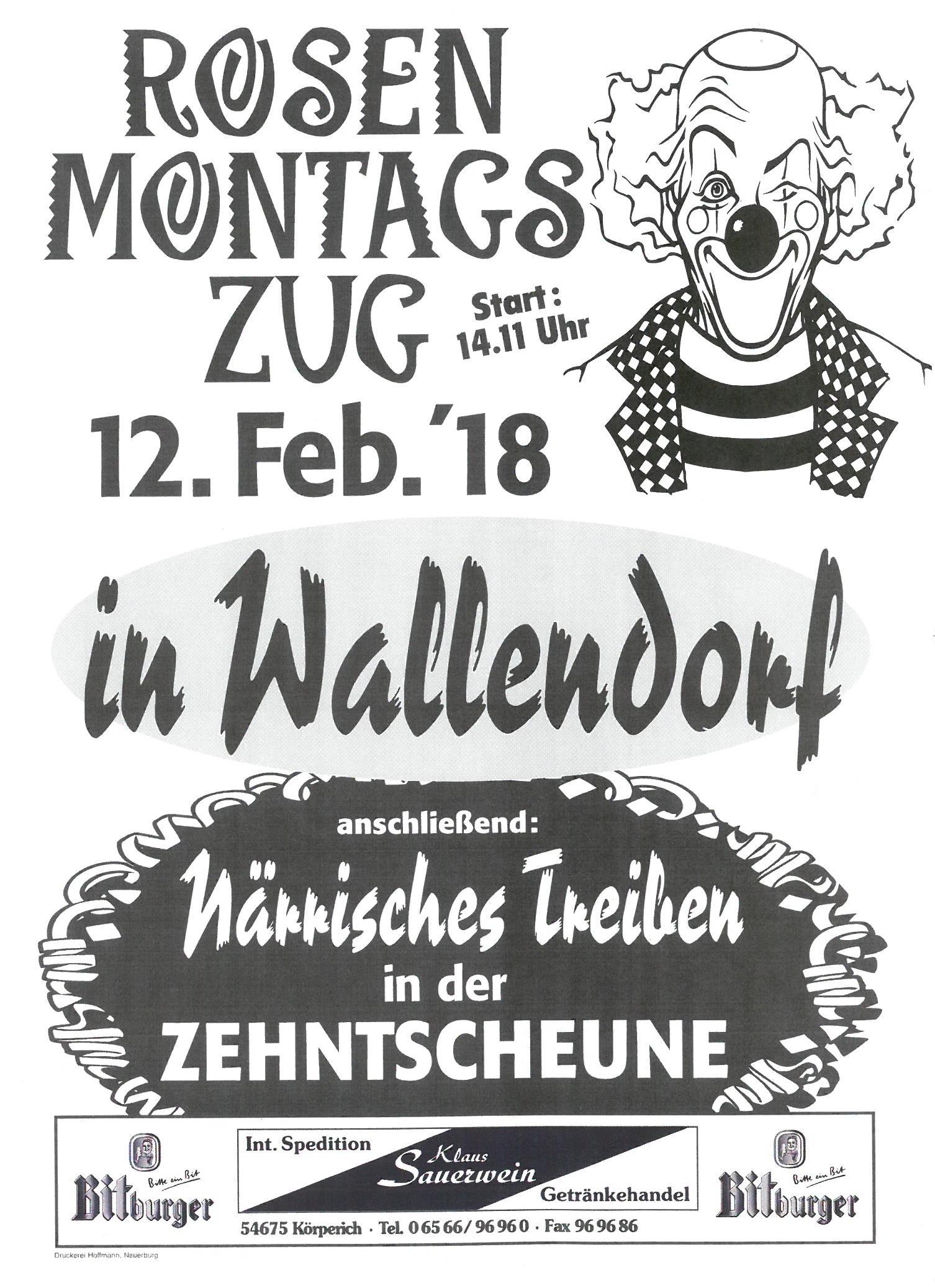 Rosenmontagsumzug in Wallendorf
