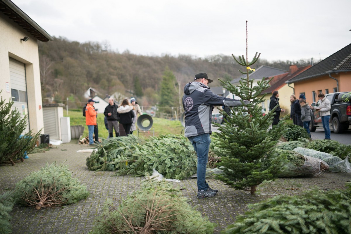 Weihnachtsbaum_2019_001