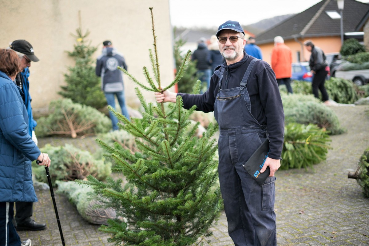 Weihnachtsbaum_2019_002