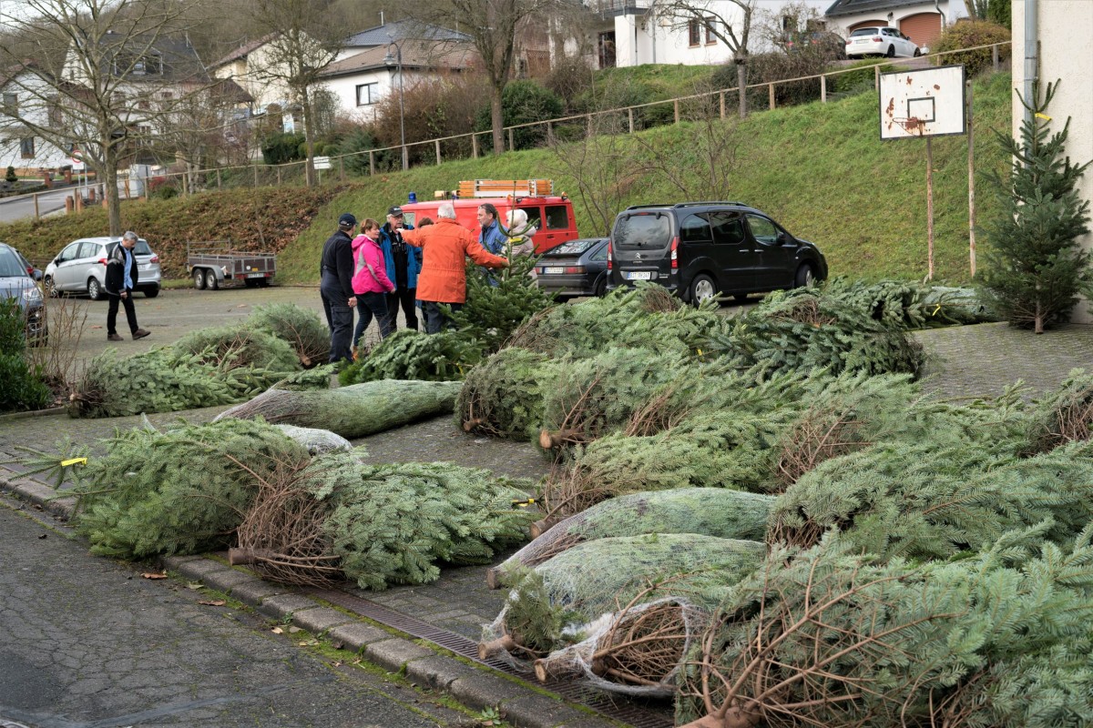 Weihnachtsbaum_2019_005