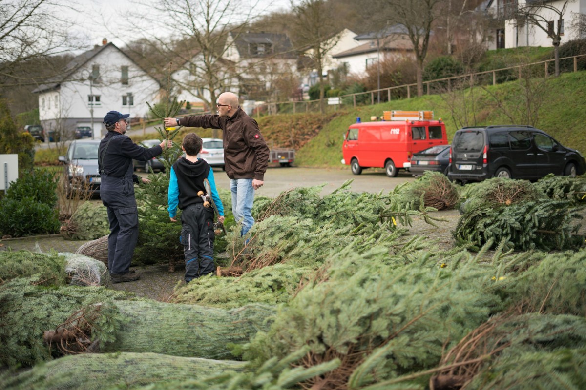 Weihnachtsbaum_2019_012