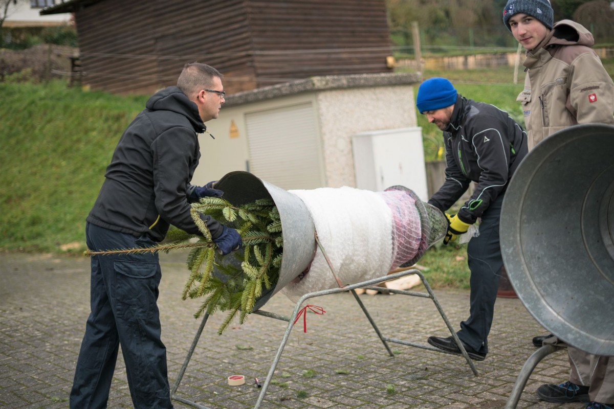 Weihnachtsbaum_2019_014