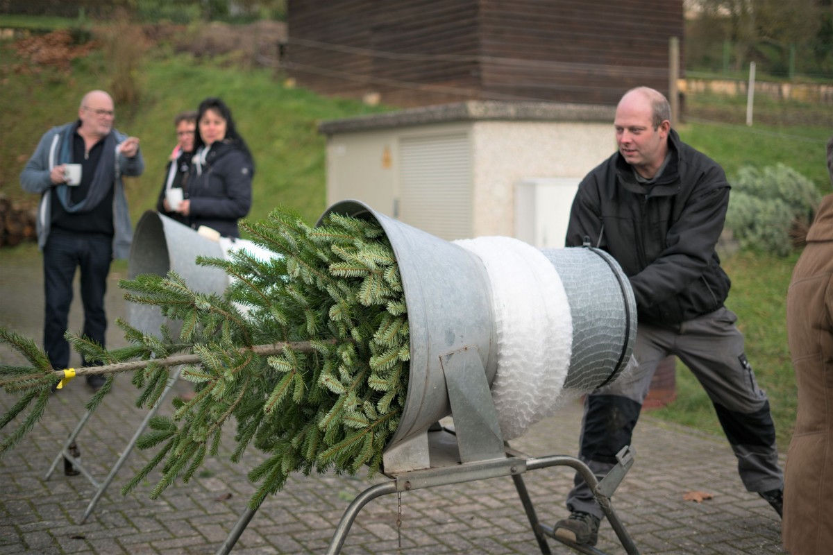 Weihnachtsbaum_2019_016