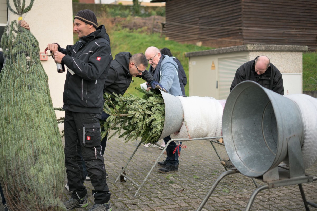 Weihnachtsbaum_2019_017