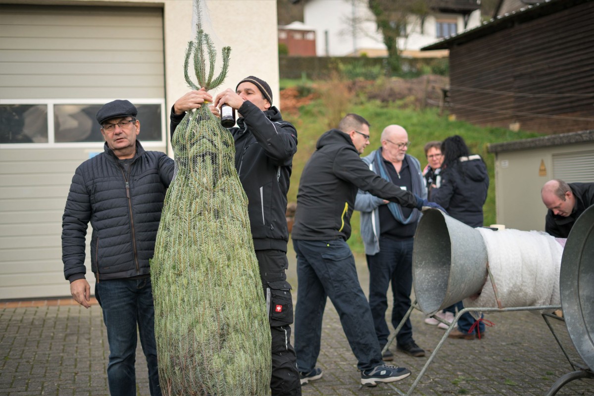 Weihnachtsbaum_2019_018