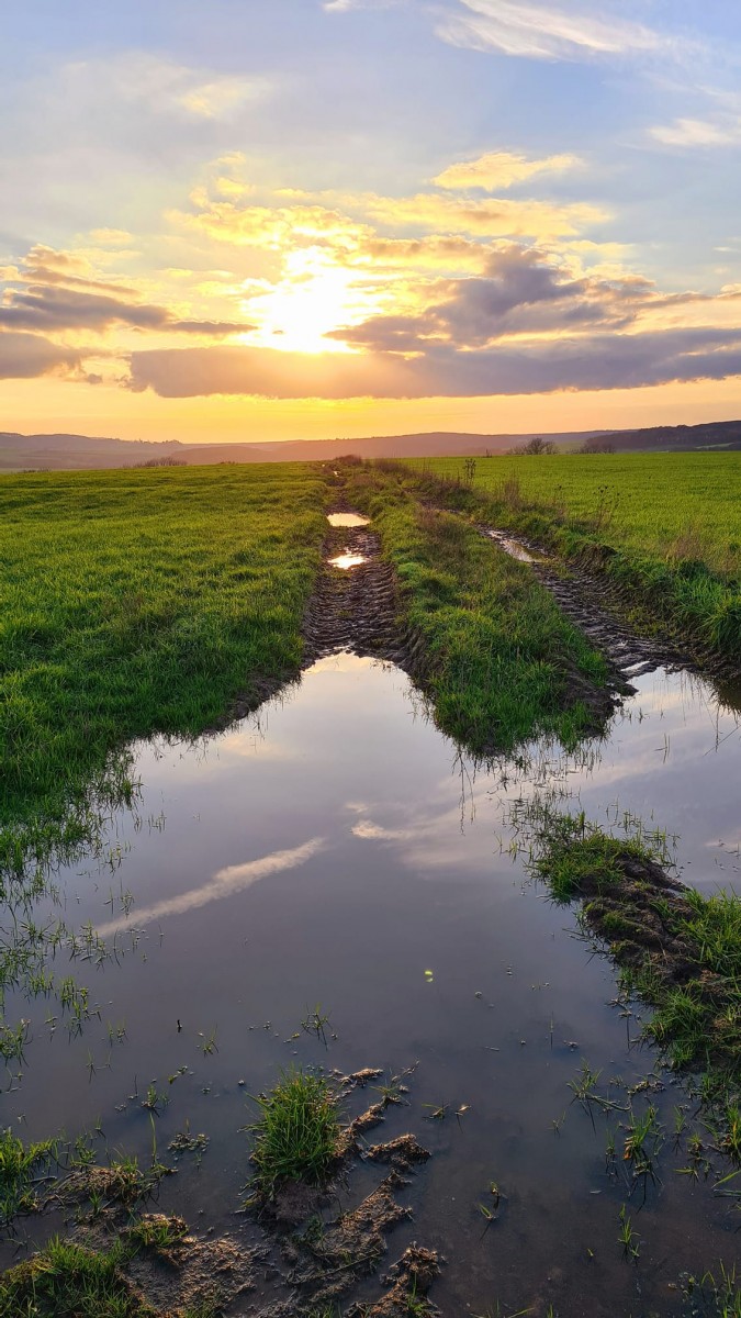 126803583_4097660533583036_747263033299938367_o (1)