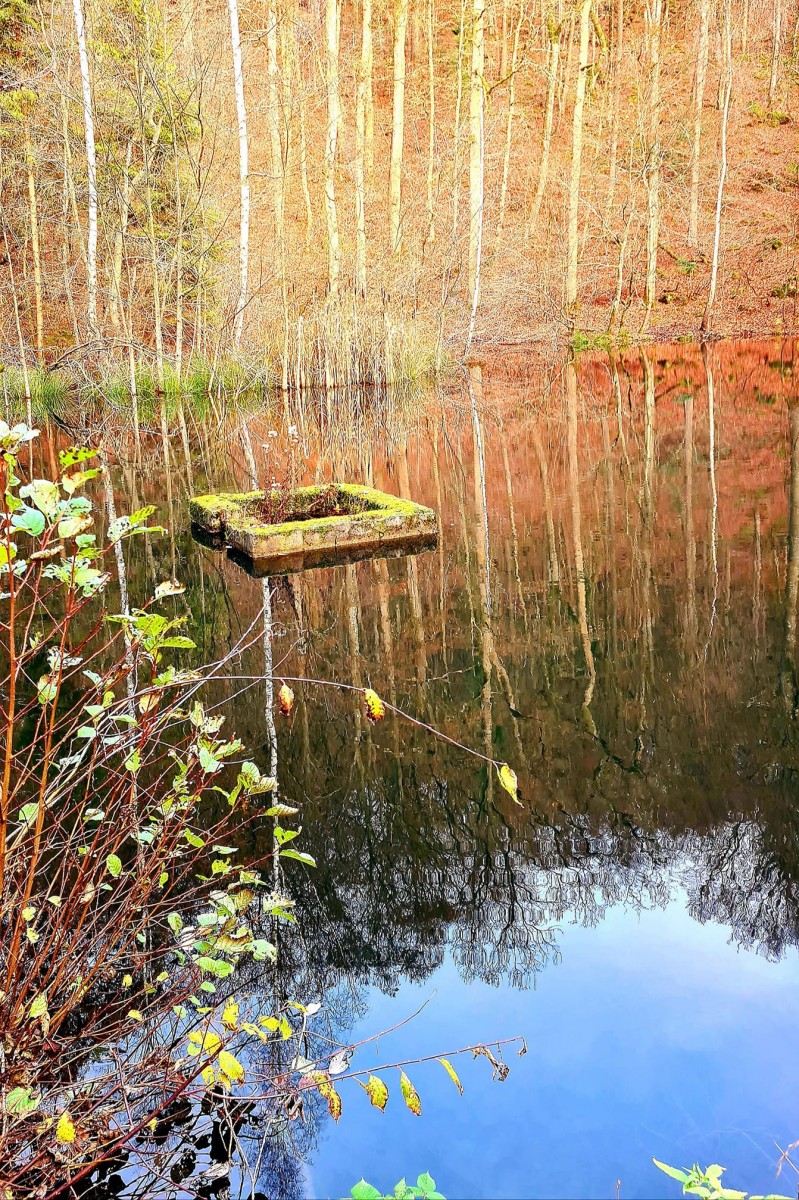 129480884_4138588072823615_2394071418443378026_o